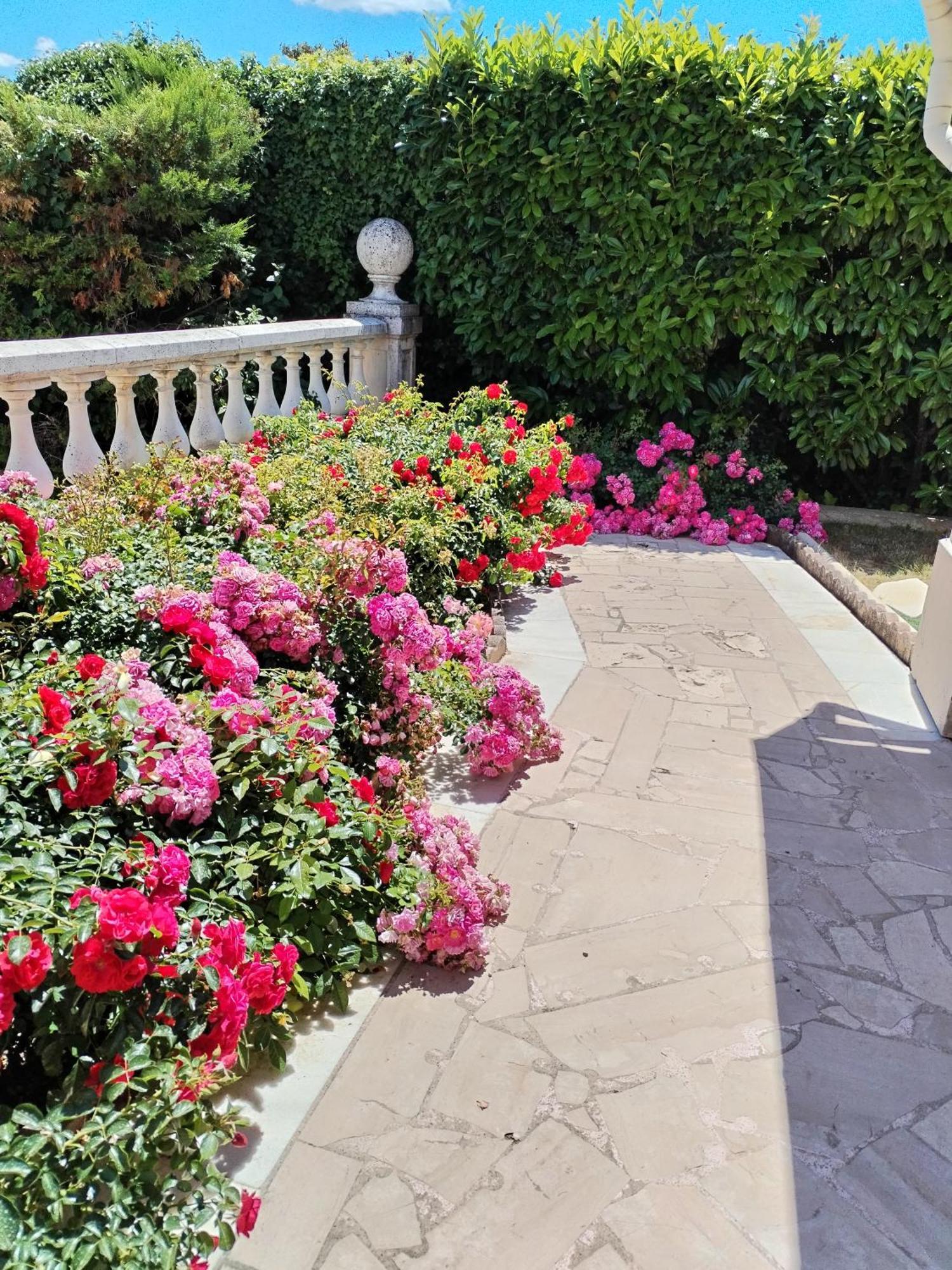 La Villa Des Ames Liees Draguignan Exteriér fotografie